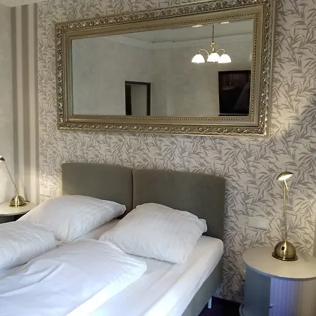 曼海姆水塔酒店 酒店 3*